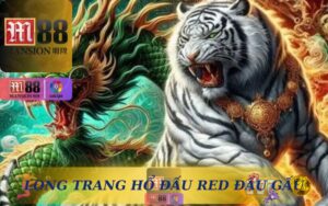 DRAGON TIGER CASINO M88